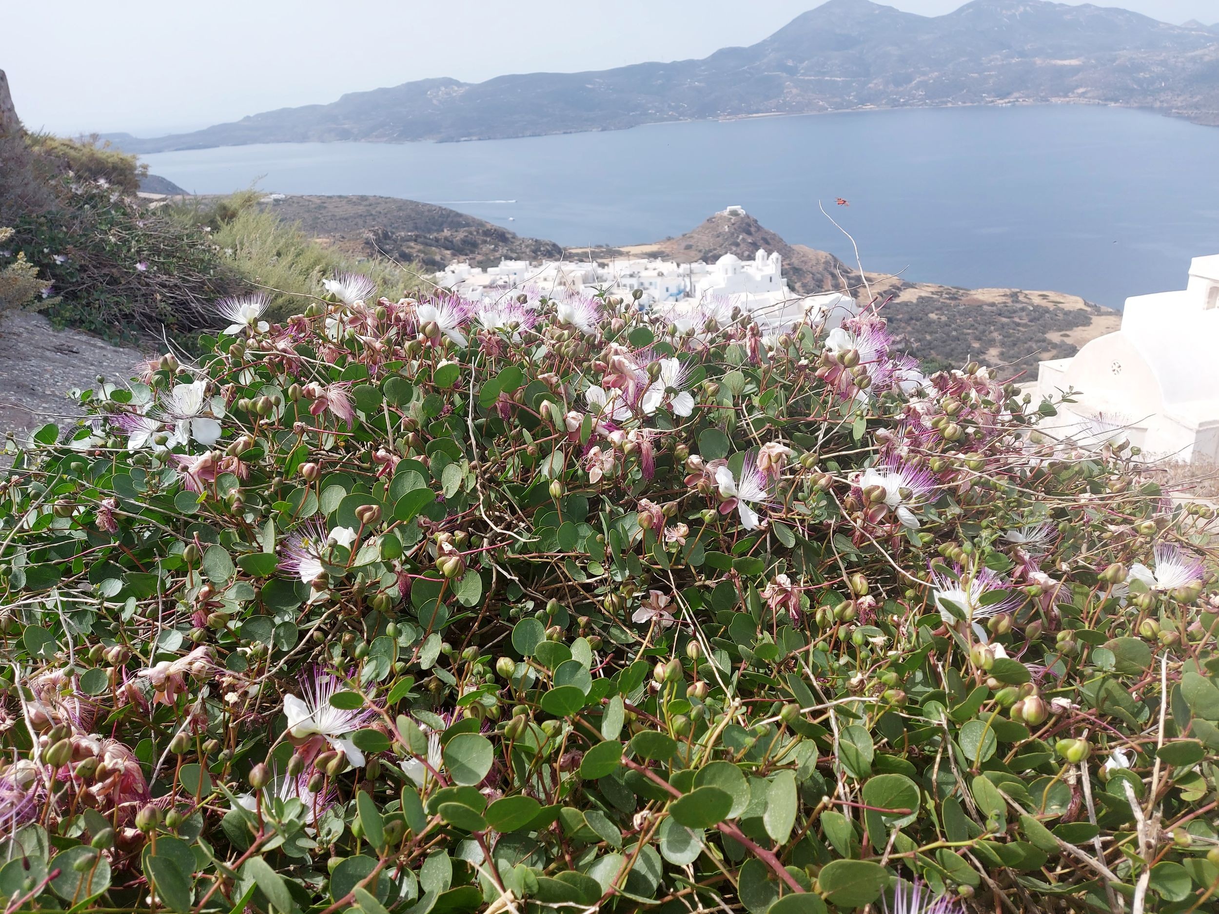 Croisière en Grèce mai 2024